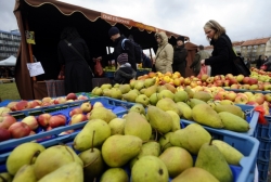 Letošní farmářské trhy v Ústeckém kraji začínají tento týden