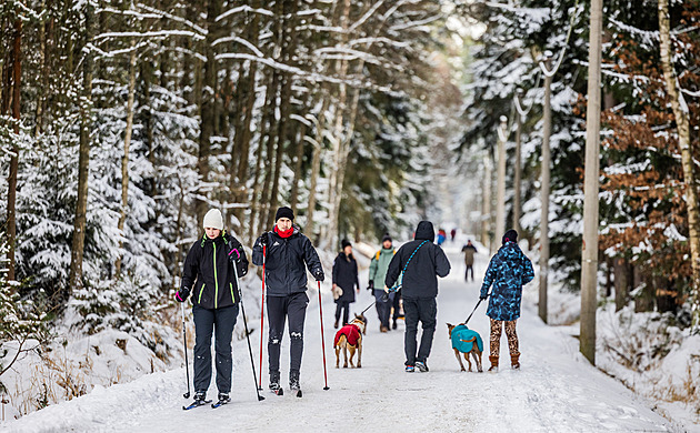 Ráj pro běžkaře v hradeckých lesích. Taková nadílka tu deset let nebyla, jásají