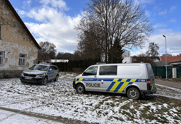 Za vraždu ženy s useknutou hlavou padlo obvinění, policie stíhá jejího partnera