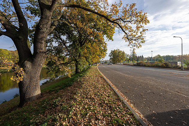 Poradí odborník, pak i obyvatelé. Pardubice řeší podobu nábřeží Labe a Chrudimky