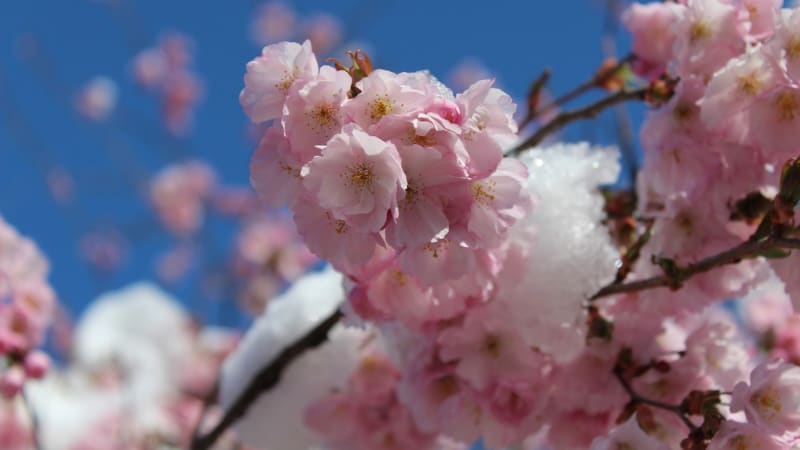 Teploty vystřelí k dvacítce, řítí se ale výrazný zvrat i sníh. MAPA odhaluje, jak bude u vás