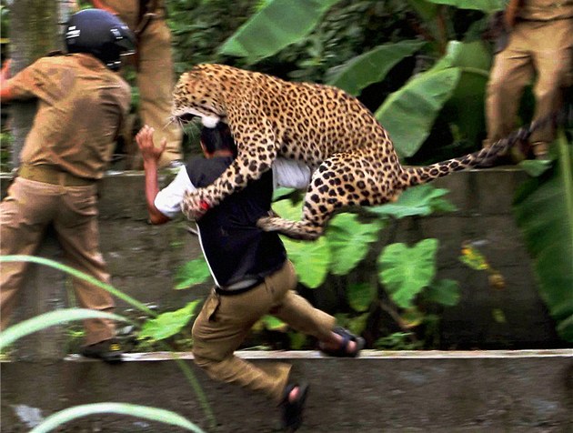 Smrtící meditace v jeskyni. Mnicha z Česka na Srí Lance zabil levhart, píší tamní média