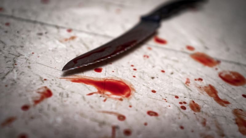 Vražda v Liboci: Dlužil úvěrové společnosti, zabil její zaměstnankyni. Zbil ji tyčí a ubodal