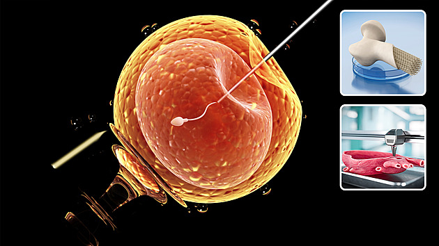 Děti na zakázku, léčba přijde dřív než nemoc. Jak vypadá budoucnost medicíny