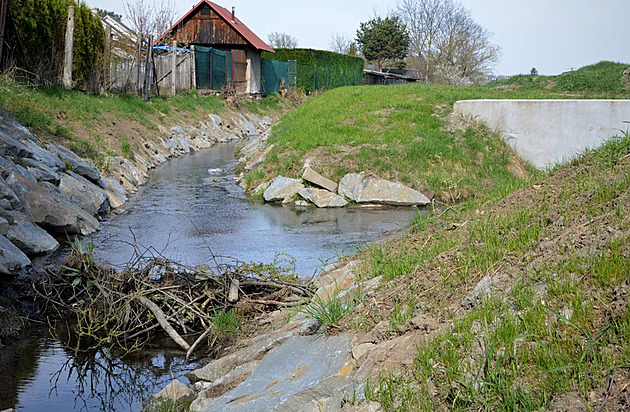 Za noc postaví hráz a ještě ji podepřou. Bobři se činí, jenže voda teče do sklepů